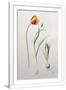 Gramercy White