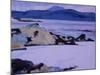 Iona - the North End-Francis Campbell Boileau Cadell-Mounted Giclee Print