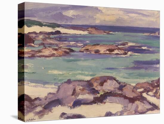 Iona-Samuel John Peploe-Stretched Canvas