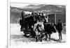 Ione, Washington - Cow Team Pulling Men in a Wagon-Lantern Press-Framed Art Print