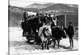 Ione, Washington - Cow Team Pulling Men in a Wagon-Lantern Press-Stretched Canvas