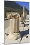 Ionic Column, Ancient Ephesus, Near Kusadasi, Anatolia, Turkey, Asia Minor, Eurasia-Eleanor Scriven-Mounted Photographic Print