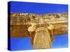 Ionic Columns, Oval Plaza, Roman City, Jerash, Jordan.-William Perry-Stretched Canvas