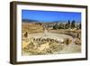 Ionic Columns, Oval Plaza, Roman City, Jerash, Jordan.-William Perry-Framed Photographic Print