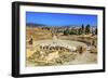 Ionic Columns, Oval Plaza, Roman City, Jerash, Jordan.-William Perry-Framed Photographic Print