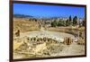 Ionic Columns, Oval Plaza, Roman City, Jerash, Jordan.-William Perry-Framed Photographic Print