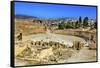 Ionic Columns, Oval Plaza, Roman City, Jerash, Jordan.-William Perry-Framed Stretched Canvas