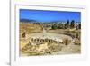 Ionic Columns, Oval Plaza, Roman City, Jerash, Jordan.-William Perry-Framed Photographic Print