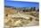 Ionic Columns, Oval Plaza, Roman City, Jerash, Jordan.-William Perry-Mounted Photographic Print