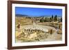 Ionic Columns, Oval Plaza, Roman City, Jerash, Jordan.-William Perry-Framed Photographic Print