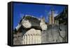 Ionic Marble Column Below Temple of Apollo-Paul Souders-Framed Stretched Canvas