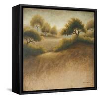 Iowa Dream-Michael Marcon-Framed Stretched Canvas