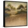 Iowa Dream-Michael Marcon-Framed Stretched Canvas