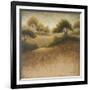 Iowa Dream-Michael Marcon-Framed Art Print