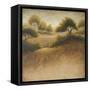 Iowa Dream-Michael Marcon-Framed Stretched Canvas