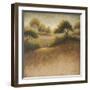 Iowa Dream-Michael Marcon-Framed Art Print