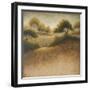 Iowa Dream-Michael Marcon-Framed Art Print