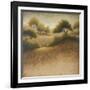 Iowa Dream-Michael Marcon-Framed Art Print