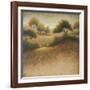 Iowa Dream-Michael Marcon-Framed Art Print