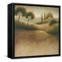 Iowa Endless-Michael Marcon-Framed Stretched Canvas
