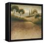 Iowa Endless-Michael Marcon-Framed Stretched Canvas