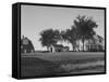 Iowa Farm Bureau-null-Framed Stretched Canvas