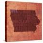 Iowa State Words-David Bowman-Stretched Canvas