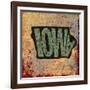 Iowa-Art Licensing Studio-Framed Giclee Print