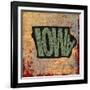 Iowa-Art Licensing Studio-Framed Giclee Print