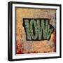 Iowa-Art Licensing Studio-Framed Giclee Print