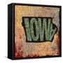 Iowa-Art Licensing Studio-Framed Stretched Canvas