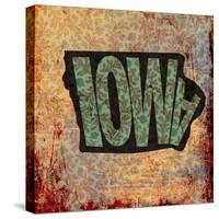 Iowa-Art Licensing Studio-Stretched Canvas