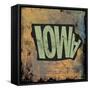 Iowa-Art Licensing Studio-Framed Stretched Canvas