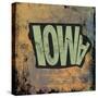 Iowa-Art Licensing Studio-Stretched Canvas