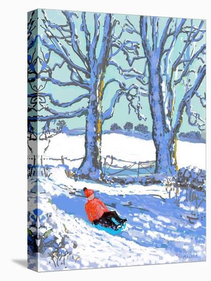 IPad painting, Sledging in Derbyshire, 2021(Ipad print)-Andrew Macara-Stretched Canvas
