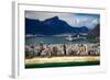 Ipanema Beach-CelsoDiniz-Framed Photographic Print