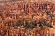 Hoodoos - Spires Created by Erosion - at Bryce Canyon National Park in Utah., 2019 (Photo)-Ira Block-Giclee Print