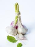 Fresh Green Garlic-Ira Leoni-Framed Photographic Print