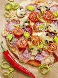Pizza with Salami, Mushrooms, Tomatoes, Leek, Mozzarella and Chillis-Ira Leoni-Photographic Print