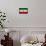 Iran Flag Design with Wood Patterning - Flags of the World Series-Philippe Hugonnard-Framed Stretched Canvas displayed on a wall