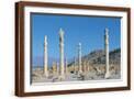 Brown Frame
