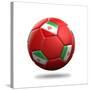 Iran Soccer Ball-pling-Stretched Canvas