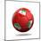 Iran Soccer Ball-pling-Mounted Art Print