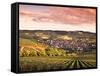 Irancy, Chablis, Burgundy, France-Doug Pearson-Framed Stretched Canvas