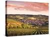 Irancy, Chablis, Burgundy, France-Doug Pearson-Stretched Canvas