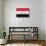 Iraq Flag Design with Wood Patterning - Flags of the World Series-Philippe Hugonnard-Mounted Art Print displayed on a wall