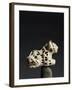 Iraq, Uruk, Panther in Ivory and Lapis Lazuli, from Eanna Sanctuary-null-Framed Giclee Print