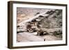 Iraqi Armored Column During Operation Desert Storm, Mar. 4 1991-null-Framed Photo