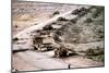 Iraqi Armored Column During Operation Desert Storm, Mar. 4 1991-null-Mounted Photo