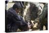 Iraqi Detainee Receives a Bandage While under Interrogation, March 24, 2003-null-Stretched Canvas